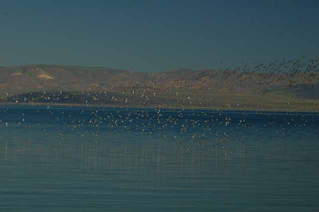 Mono Lake